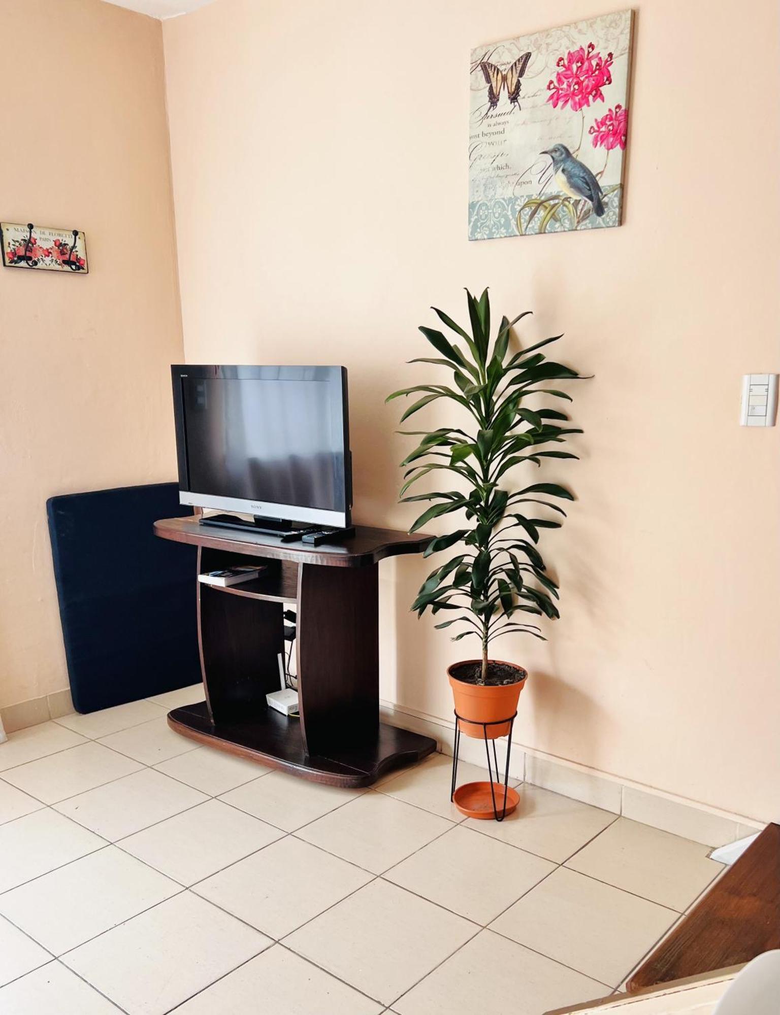 Duplex Zona Centrica